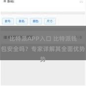   比特派APP入口 比特派钱包安全吗？专家详解其全面优势