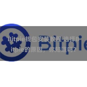   Bitpie钱包安装教程 选择Bitpie的原因，你知道吗？