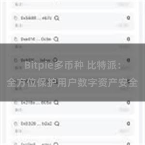   Bitpie多币种 比特派：全方位保护用户数字资产安全