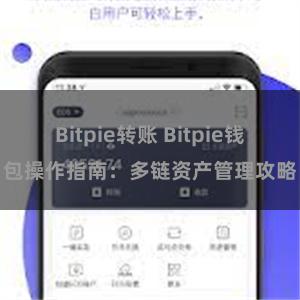 Bitpie转账 Bitpie钱包操作指南：多链资产管理攻略