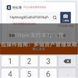 Bitpie支付 Bitpie钱包操作指南：多链资产管理攻略