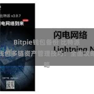 Bitpie钱包备份 比特派钱包多链资产管理技巧：全面攻略