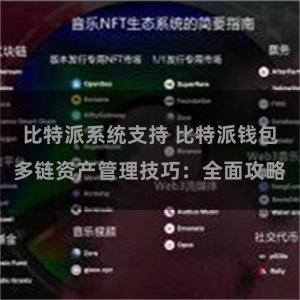 比特派系统支持 比特派钱包多链资产管理技巧：全面攻略