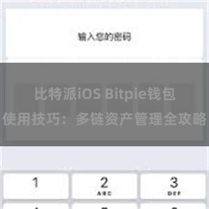 比特派iOS Bitpie钱包使用技巧：多链资产管理全攻略