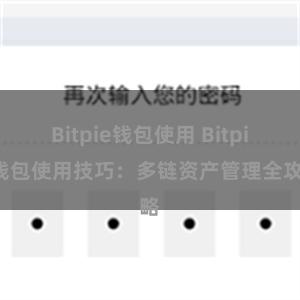 Bitpie钱包使用 Bitpie钱包使用技巧：多链资产管理全攻略