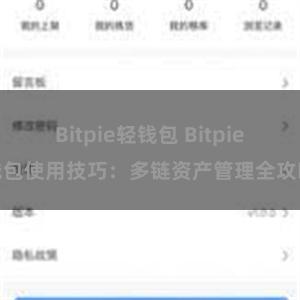 Bitpie轻钱包 Bitpie钱包使用技巧：多链资产管理全攻略