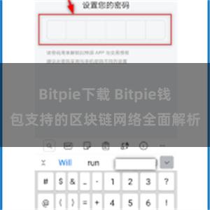 Bitpie下载 Bitpie钱包支持的区块链网络全面解析