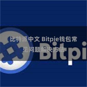 比特派中文 Bitpie钱包常见问题解决方法