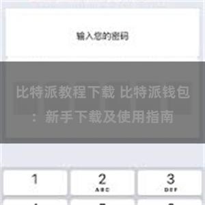 比特派教程下载 比特派钱包：新手下载及使用指南