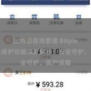 比特派在线管理 Bitpie钱包隐私保护功能深度解析：安全守护，资产保障