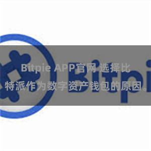 Bitpie APP官网 选择比特派作为数字资产钱包的原因。