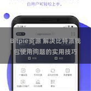 Bitpie资源 解决比特派钱包使用问题的实用技巧