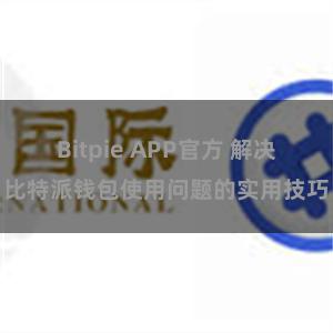 Bitpie APP官方 解决比特派钱包使用问题的实用技巧