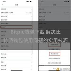 Bitpie钱包下载 解决比特派钱包使用问题的实用技巧