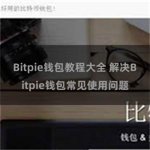 Bitpie钱包教程大全 解决Bitpie钱包常见使用问题