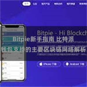 Bitpie新手指南 比特派钱包支持的主要区块链网络解析