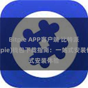 Bitpie APP客户端 比特派(Bitpie)钱包下载指南：一站式安装体验