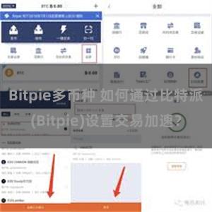 Bitpie多币种 如何通过比特派(Bitpie)设置交易加速？