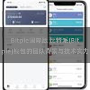 Bitpie国际版 比特派(Bitpie)钱包的团队背景与技术实力