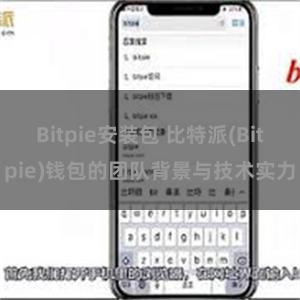 Bitpie安装包 比特派(Bitpie)钱包的团队背景与技术实力