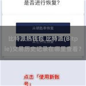 比特派热钱包 比特派(Bitpie)交易历史记录在哪里查看？