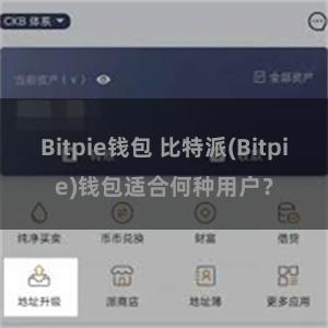 Bitpie钱包 比特派(Bitpie)钱包适合何种用户？