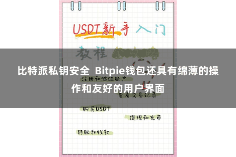 比特派私钥安全  Bitpie钱包还具有绵薄的操作和友好的用户界面