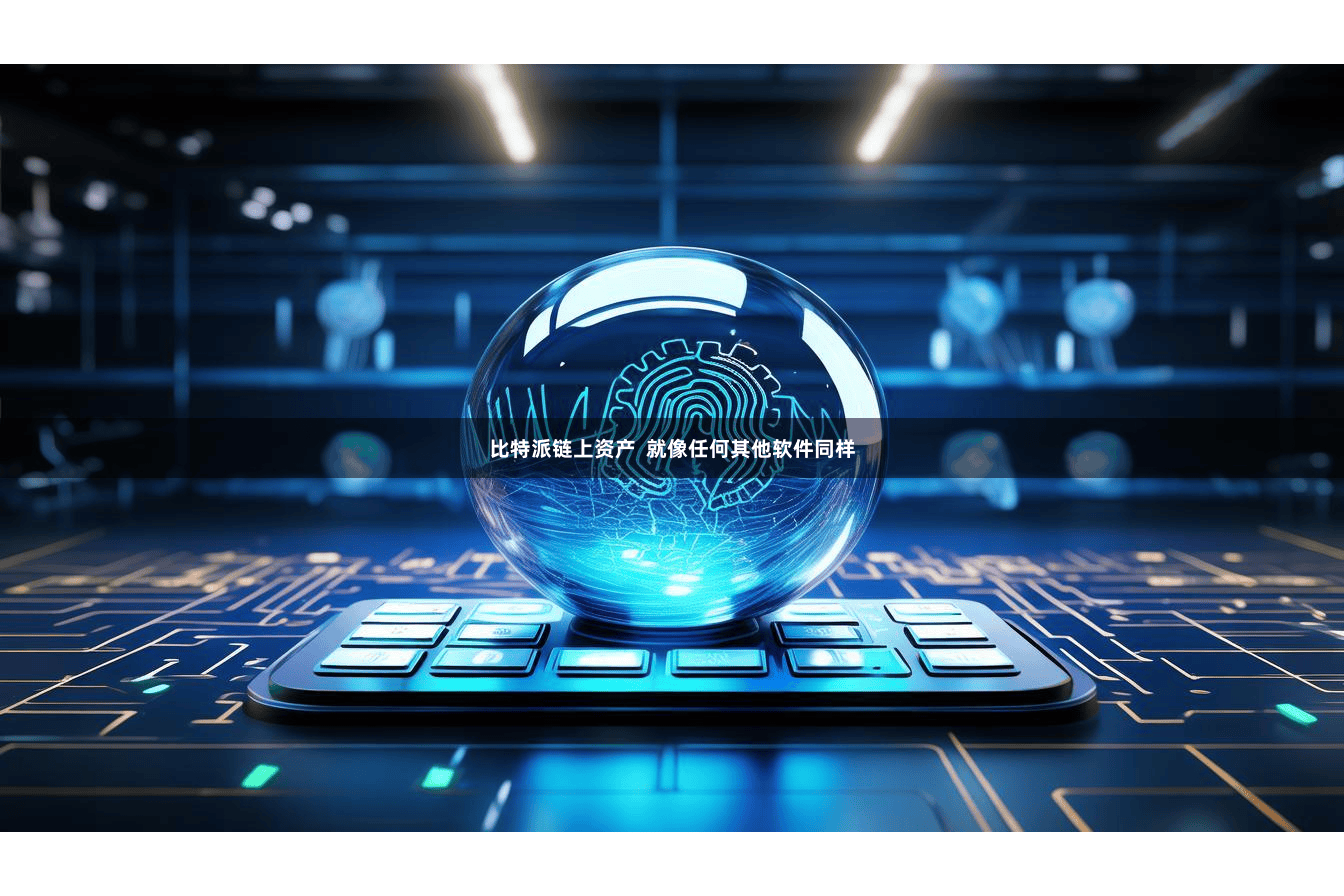 比特派链上资产  就像任何其他软件同样